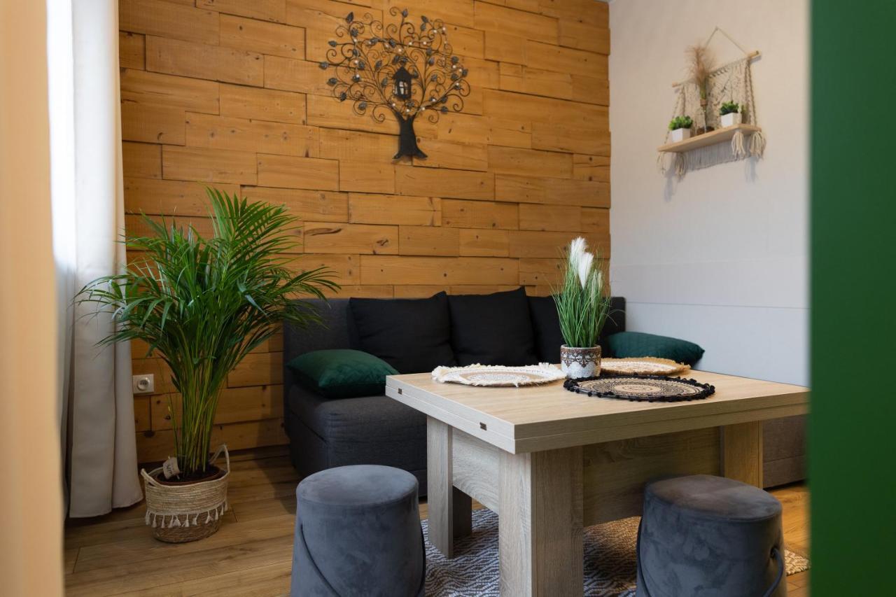 Apartamenty Slodki Zakatek ムシナ エクステリア 写真